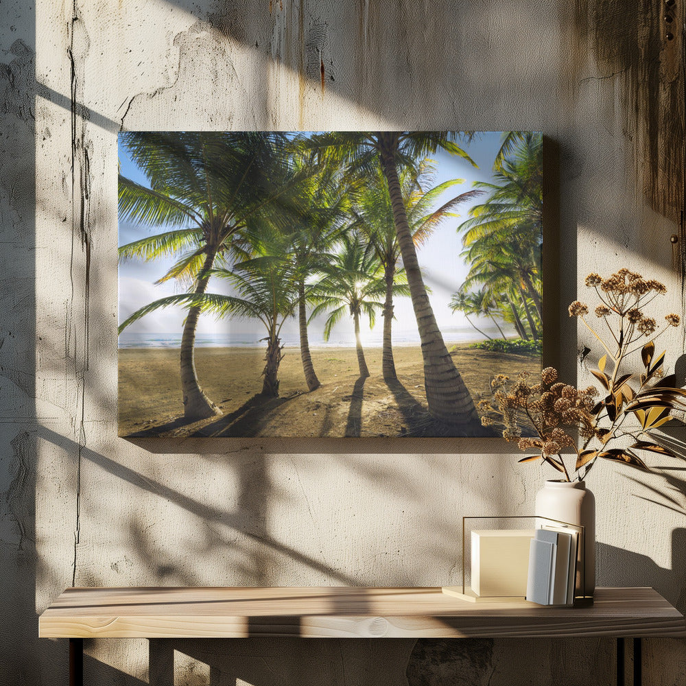 Tropical Morning | Canvas