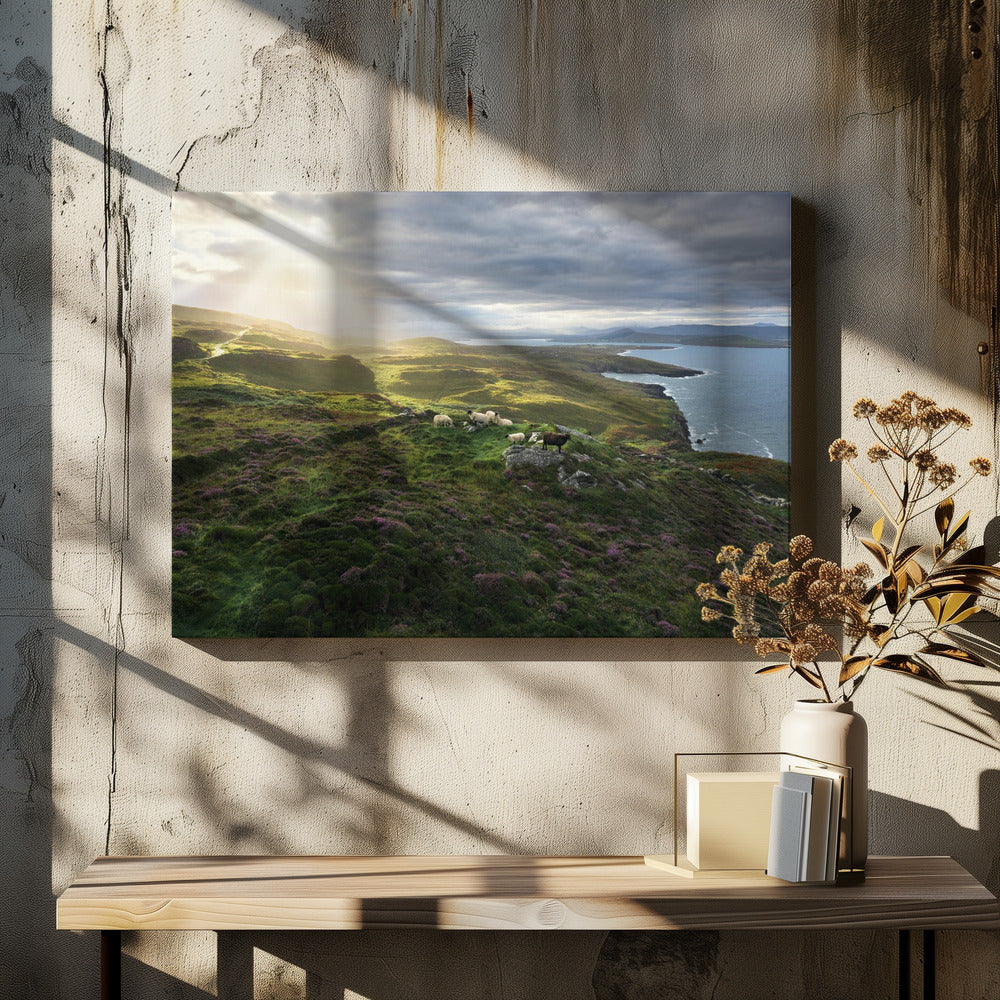 Good Morning Ireland | Canvas
