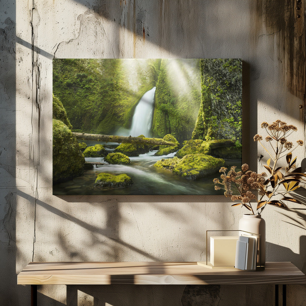 Groene Kloof | Canvas