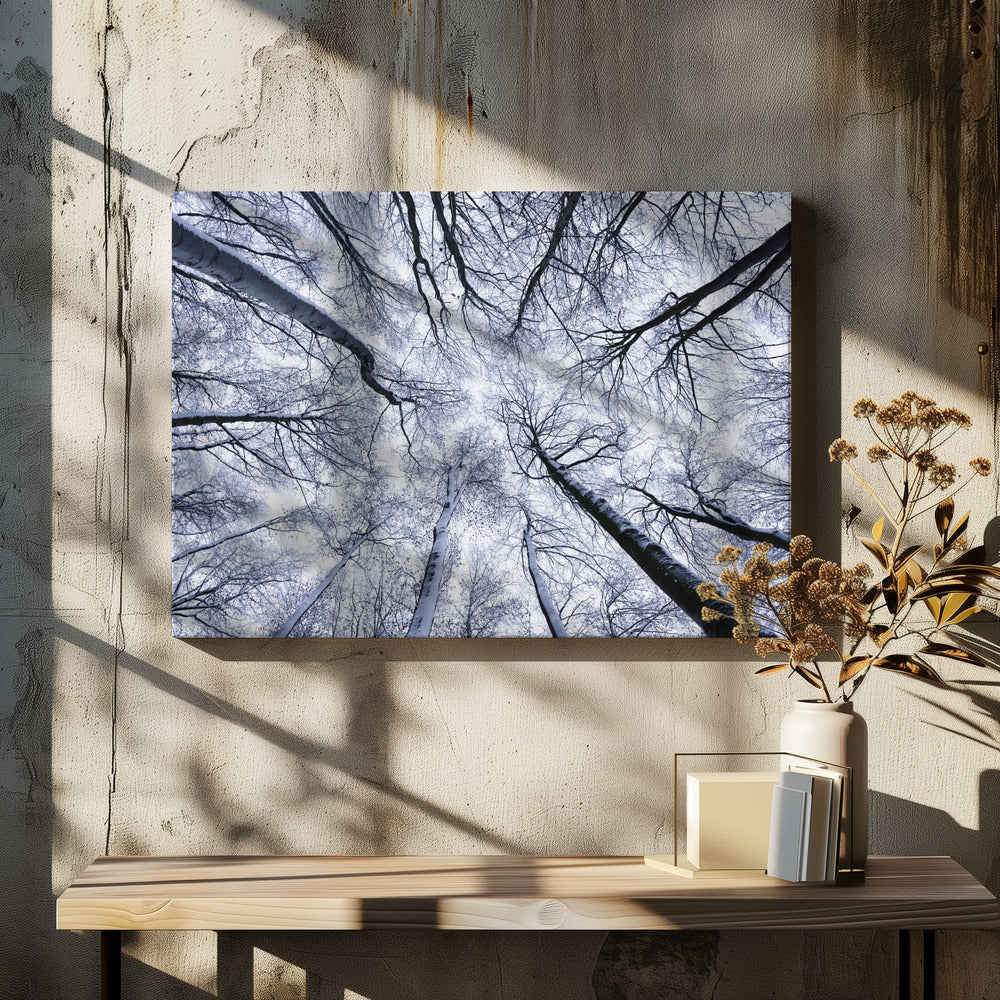 Up II | Canvas