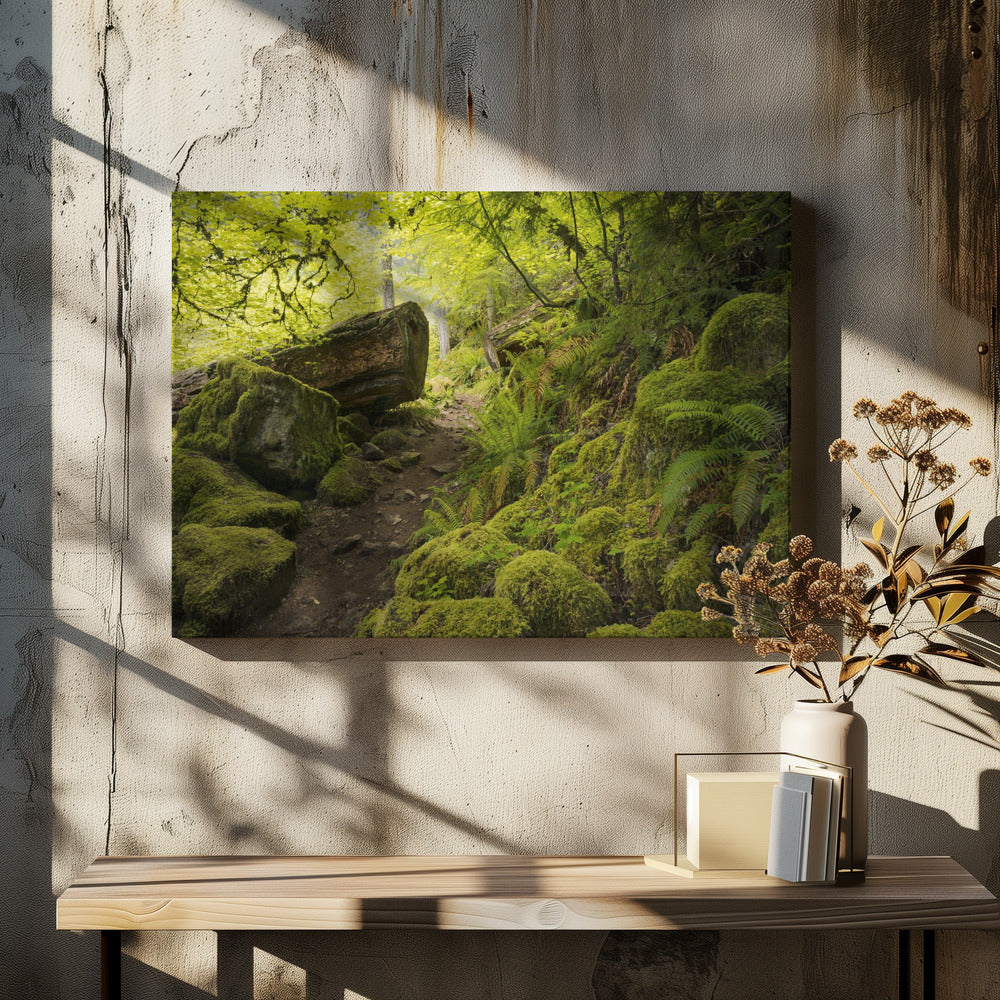Mossig pad | Canvas