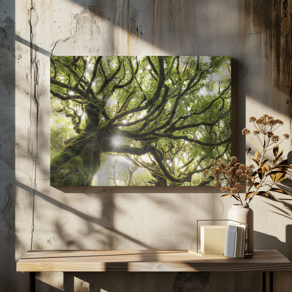 Green Star | Canvas