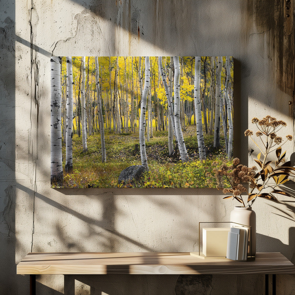 Herfstberken | Canvas