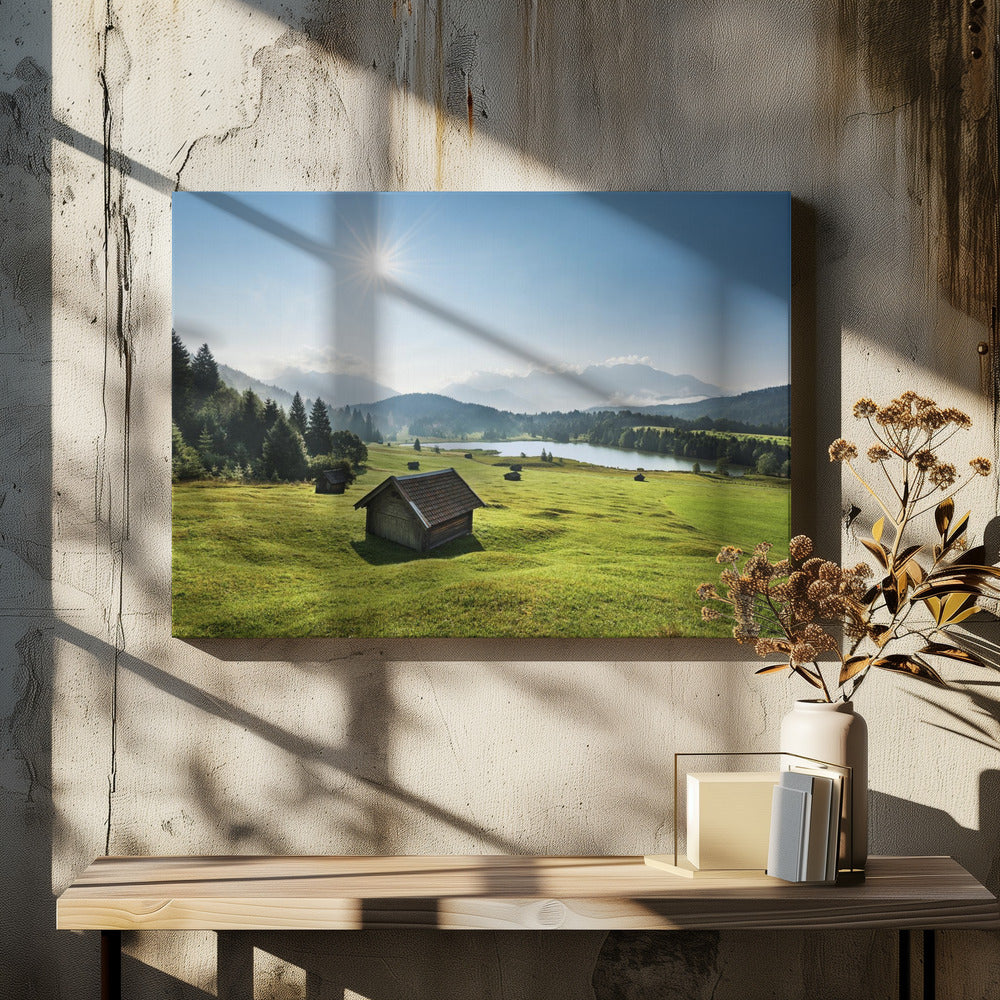 Zomerweide | Canvas