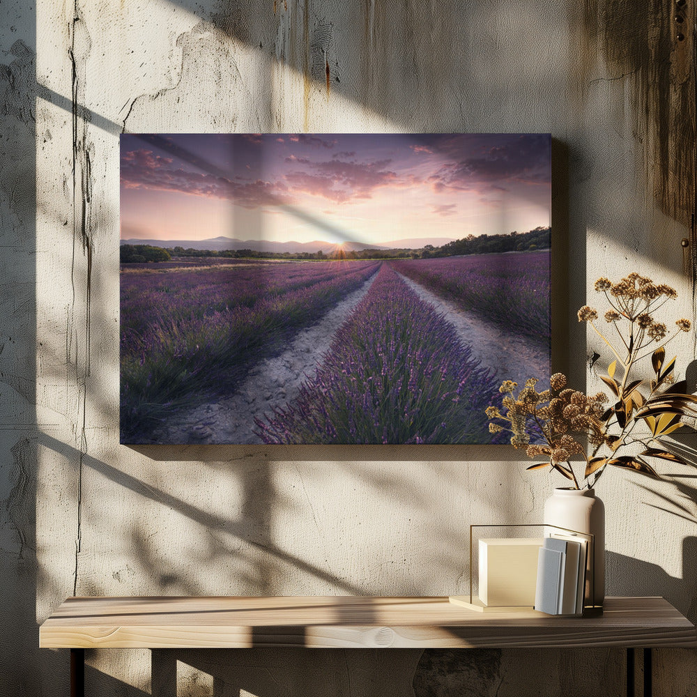 Paarse Provence | Canvas