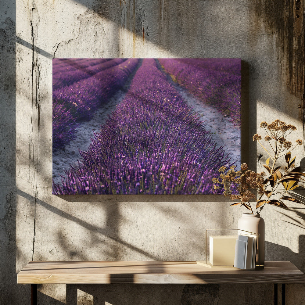 Lavendel Detail | Canvas