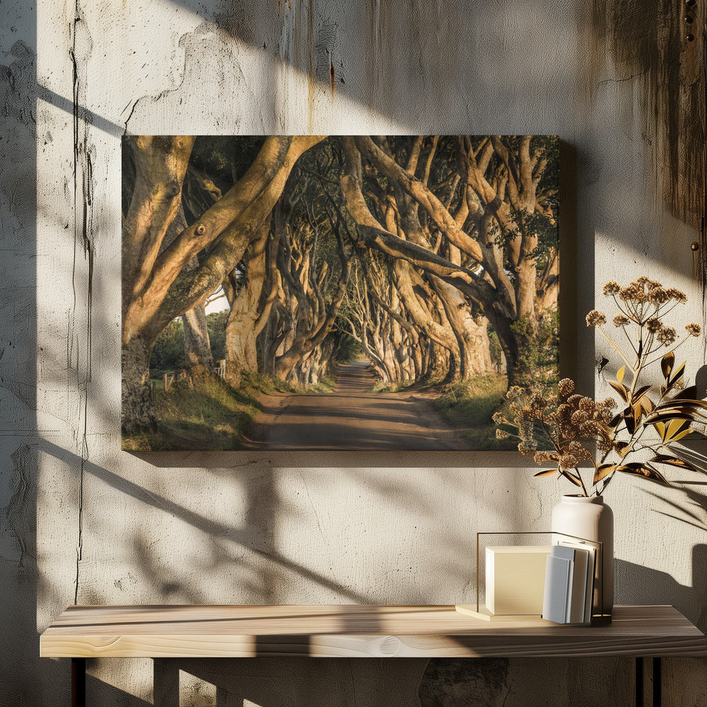 De Laan | Canvas