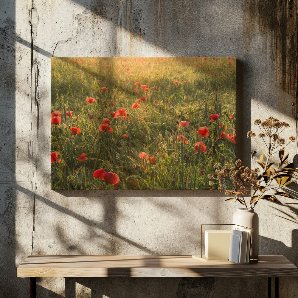 Klaproos Wereld II | Canvas