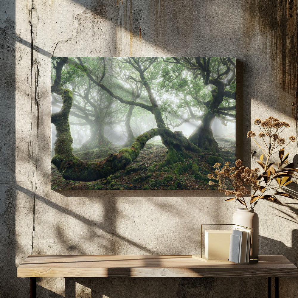 Mystiek Laurierbos | Canvas