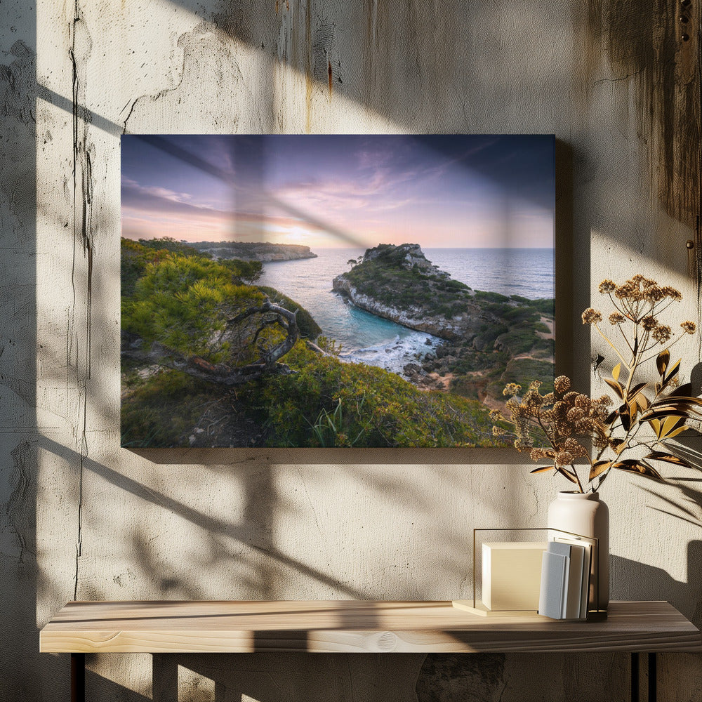 Baydreams | Canvas