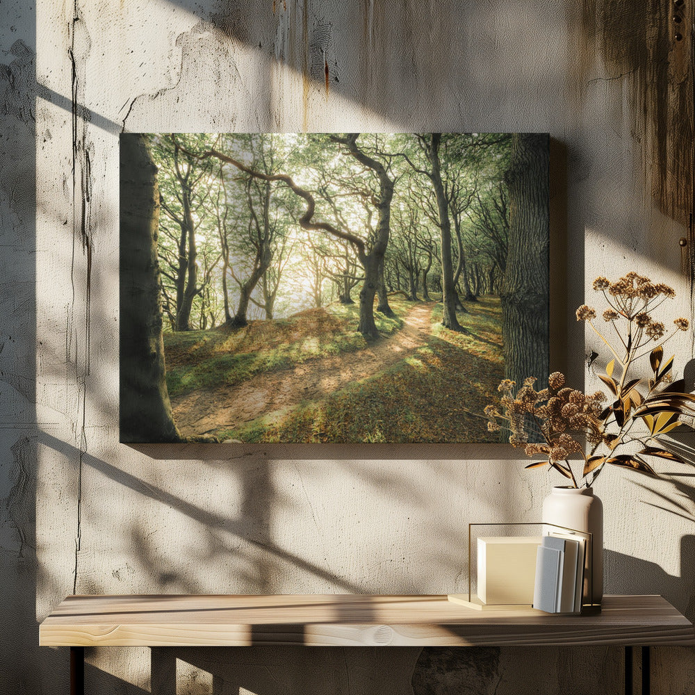 Magisch beukenhout | Canvas