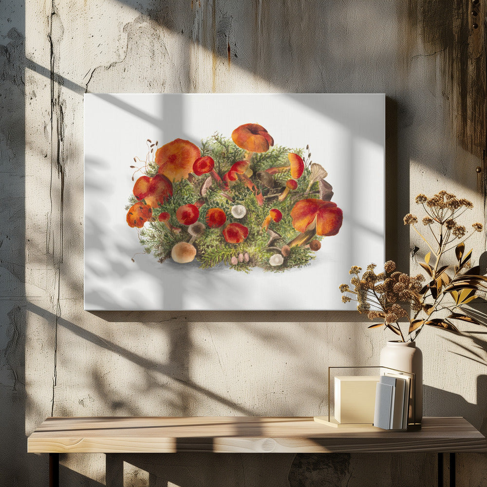 Studie van paddenstoelen (1880) Horizontaal | Canvas