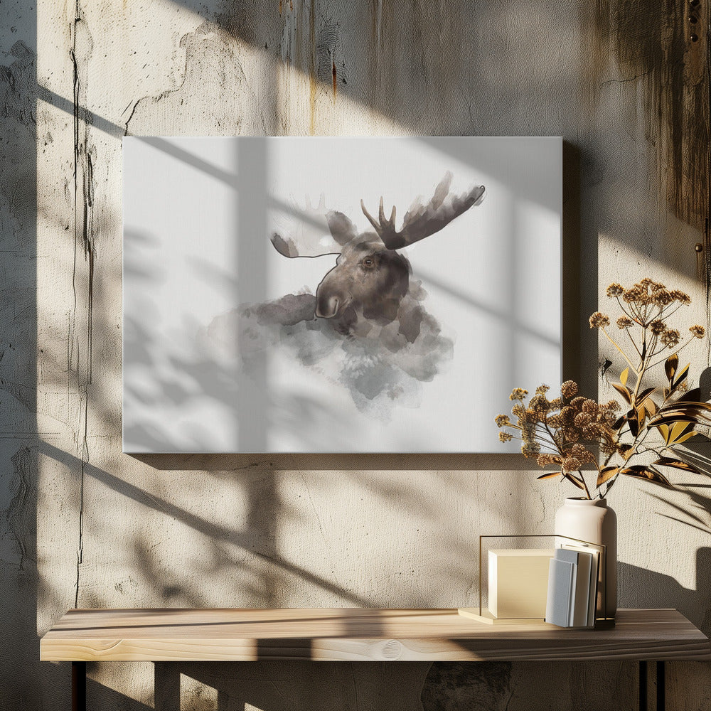 Eland | Canvas