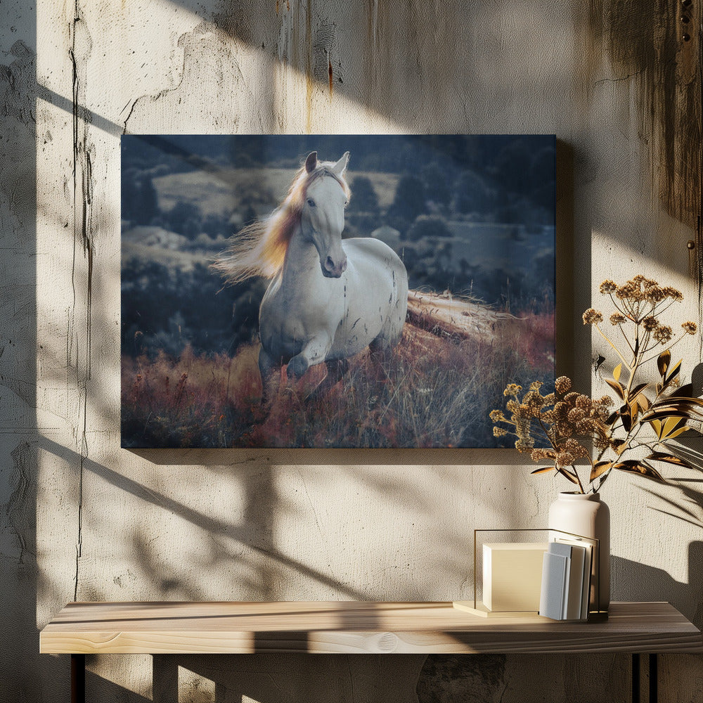 een kort verhaal over zonsopgang | Canvas