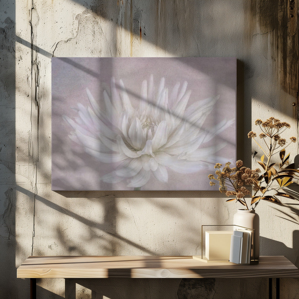 Wit | Canvas