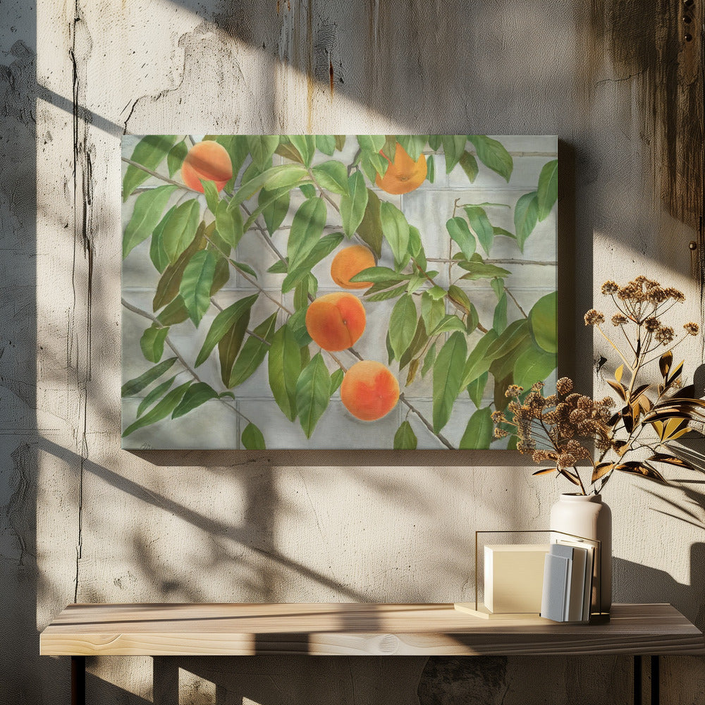 Perziken | Canvas