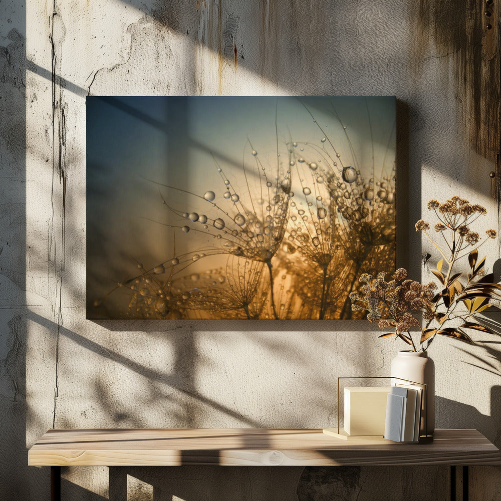 Zacht is de nacht | Canvas