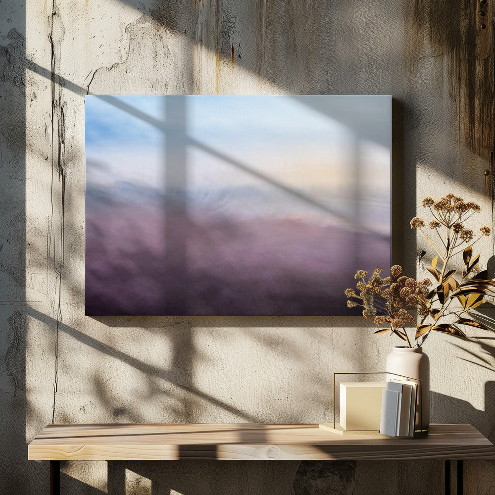 Heide | Canvas