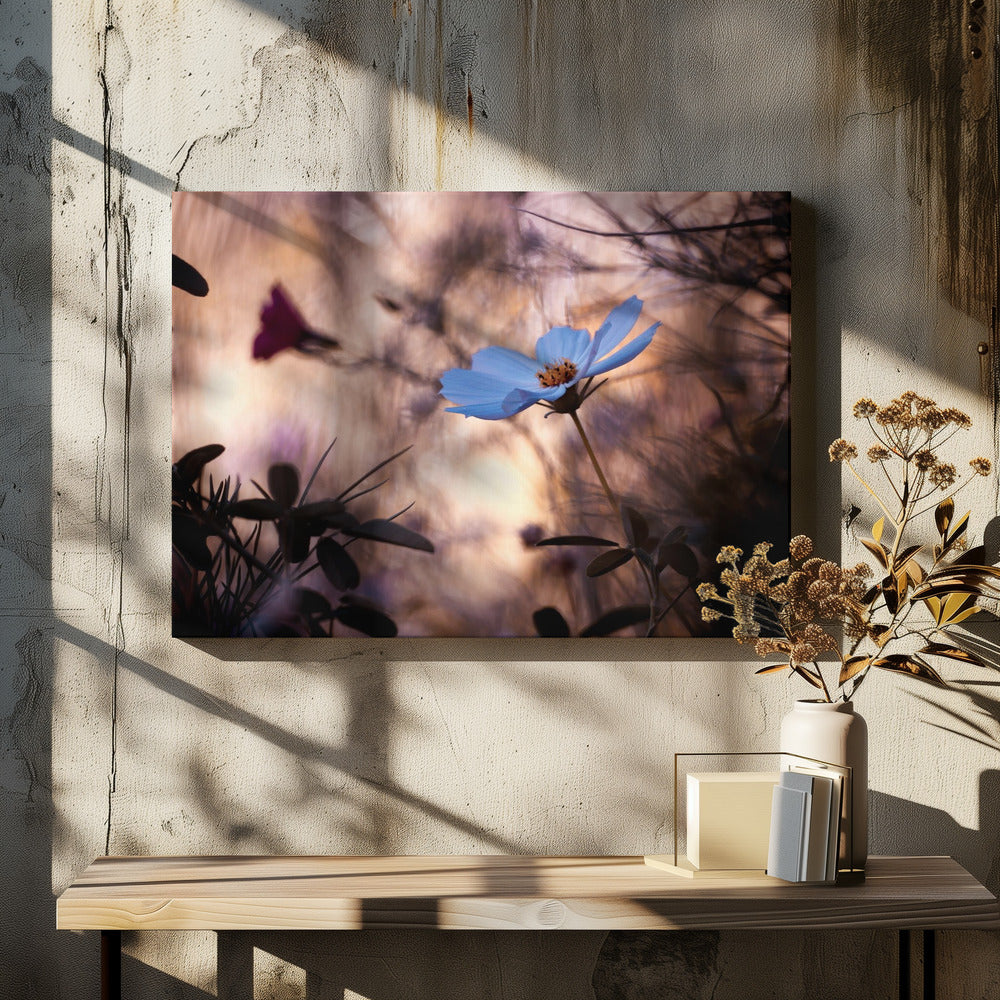 De onverschilligheid | Canvas