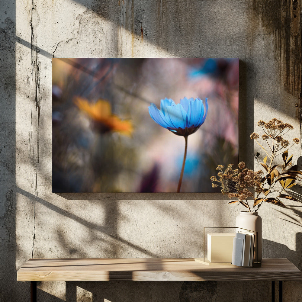Wil je met mij dansen | Canvas