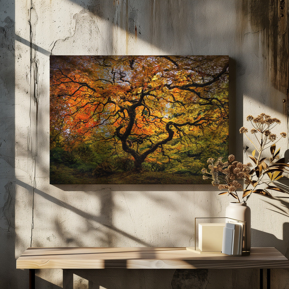 De esdoorn | Canvas