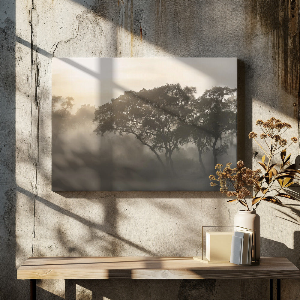SAVANA ZONSOPGANG | Canvas