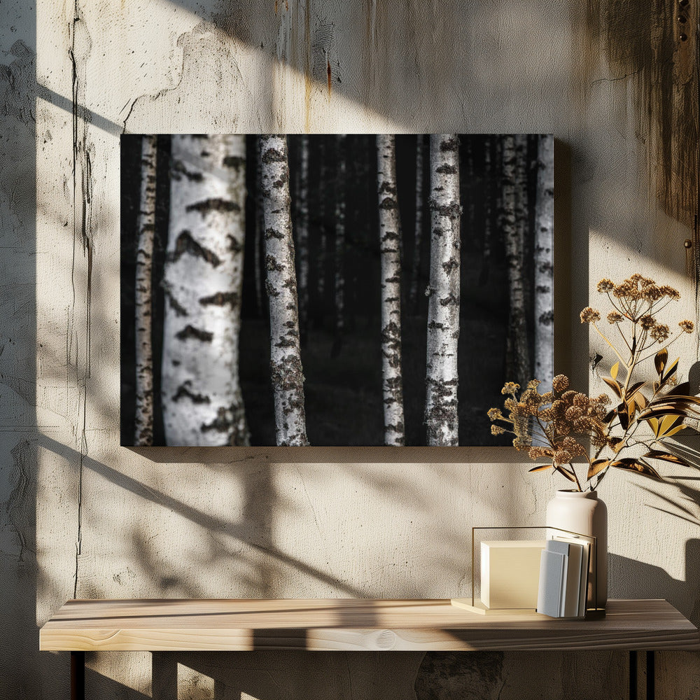 Berkenbomen 8 | Canvas