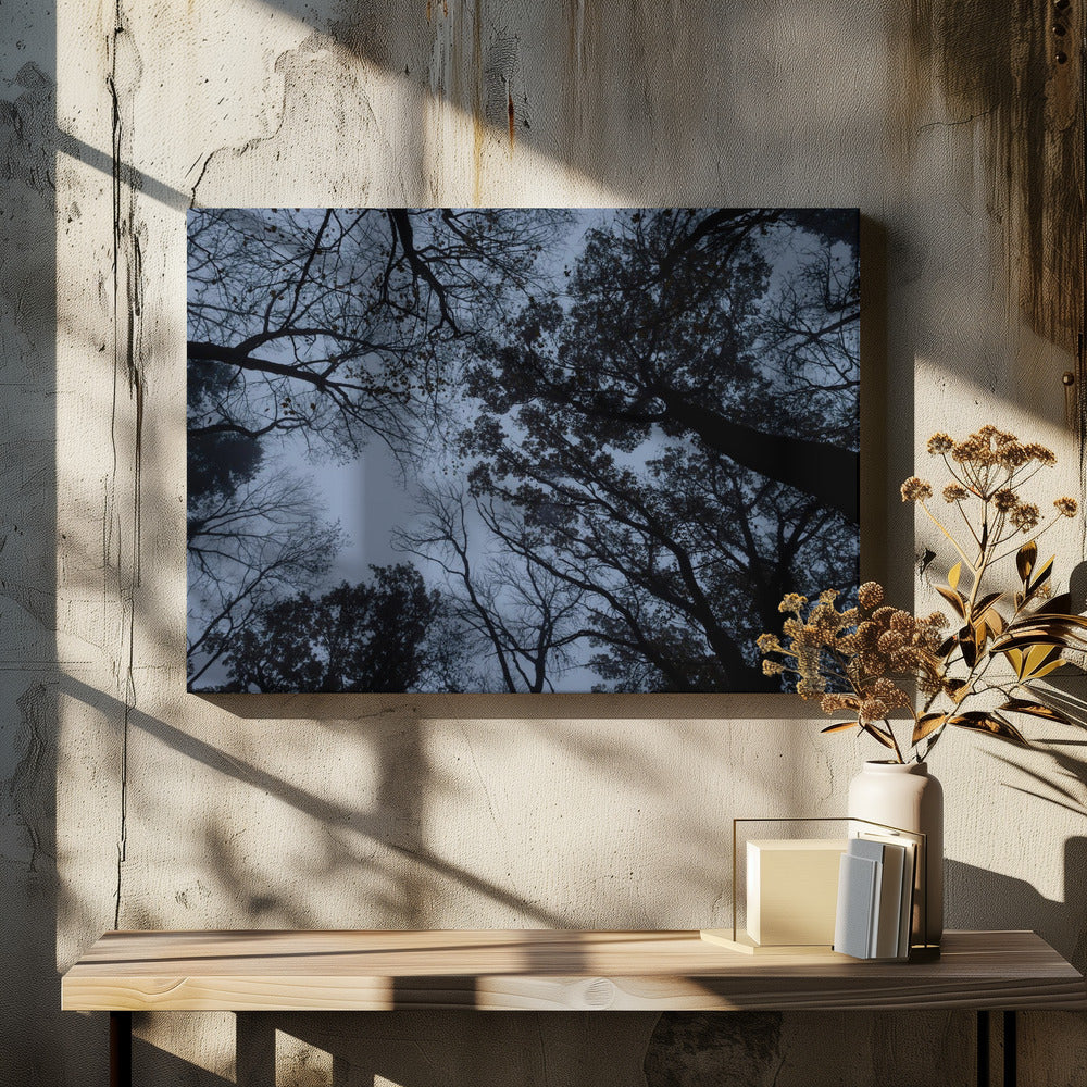 Omhoog kijken 1 | Canvas