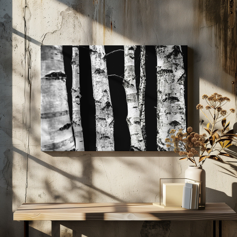 Berkenbomen | Canvas