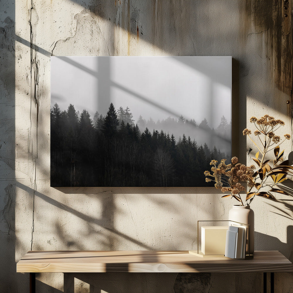 Mistige bossen 7 | Canvas