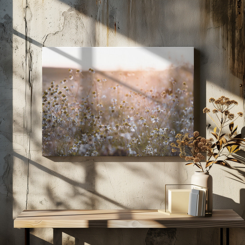 Summer Morning 7 | Canvas