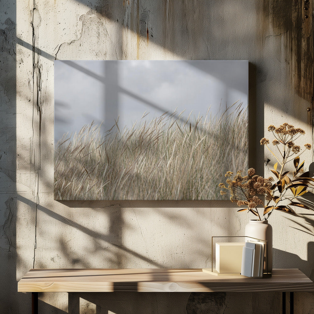 Duinen en wolken | Canvas