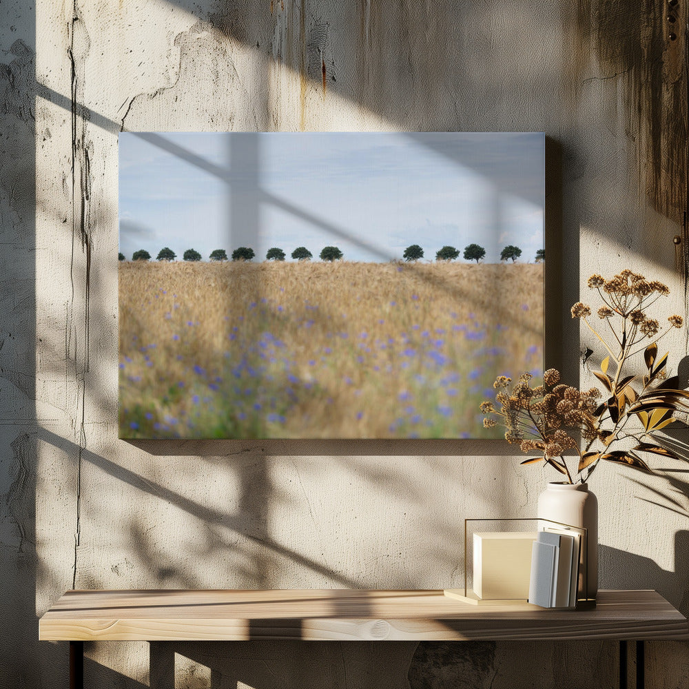 Nordic Moments 4 | Canvas