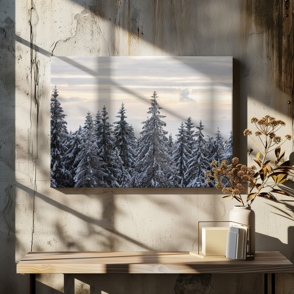 Besneeuwde bomen 8 | Canvas