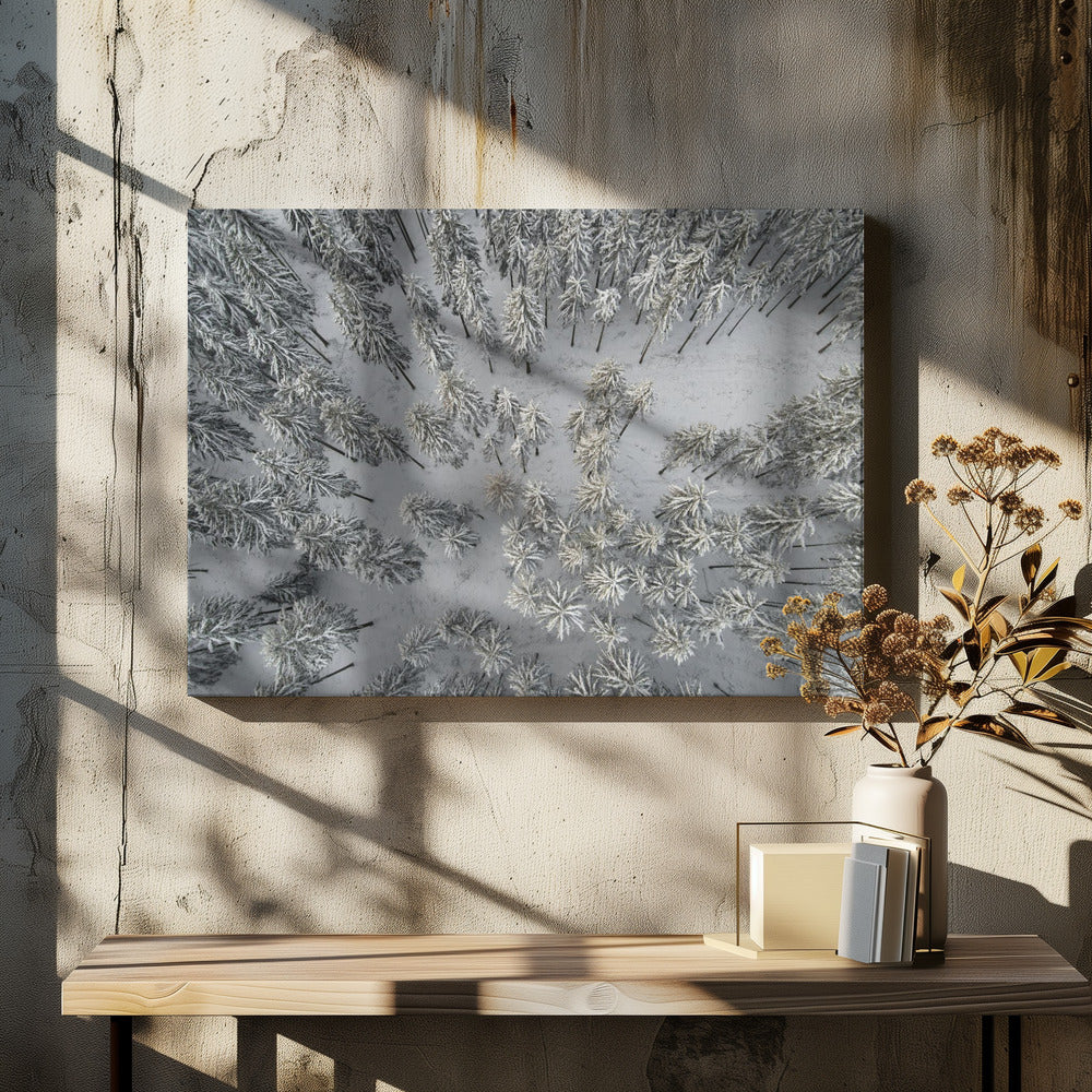 Besneeuwde bomen 3 | Canvas