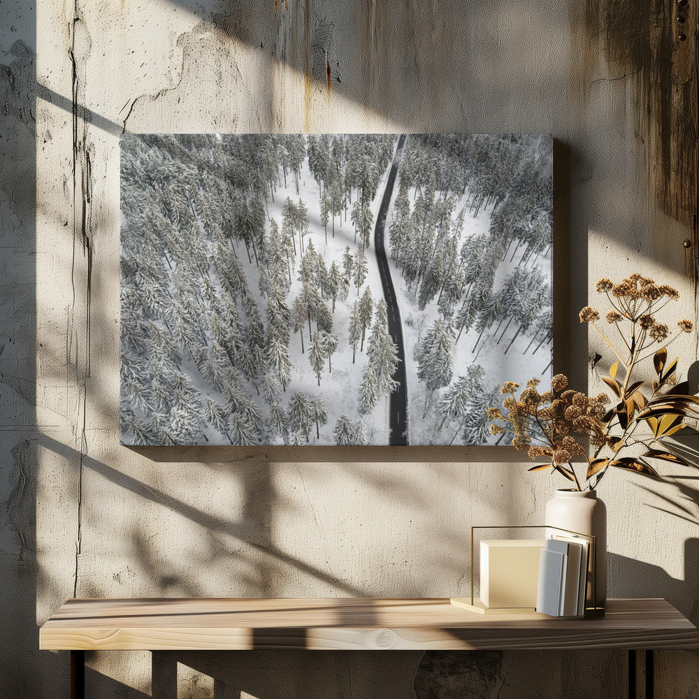 Besneeuwde bomen 5 | Canvas
