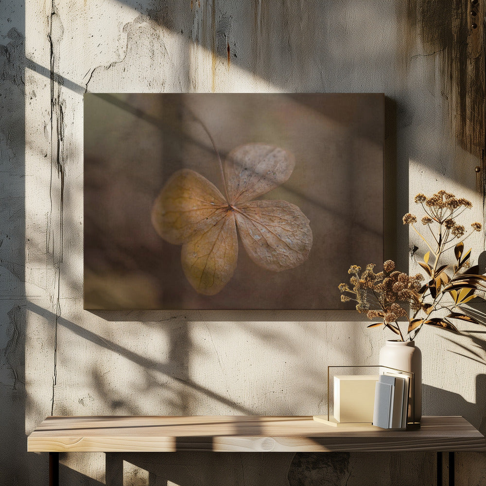 restanten van de dag | Canvas
