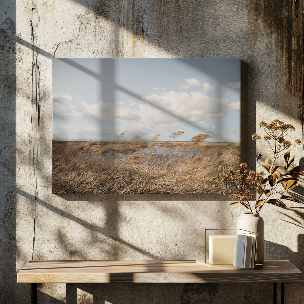 Moerasland nr. 6 | Canvas