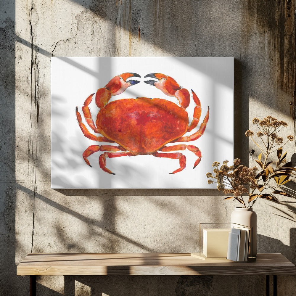 Realistic Red Crab | Canvas