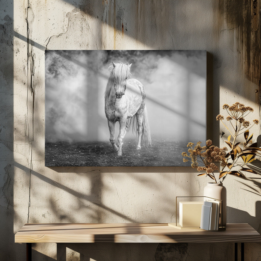 En er kwam een wit paard | Canvas