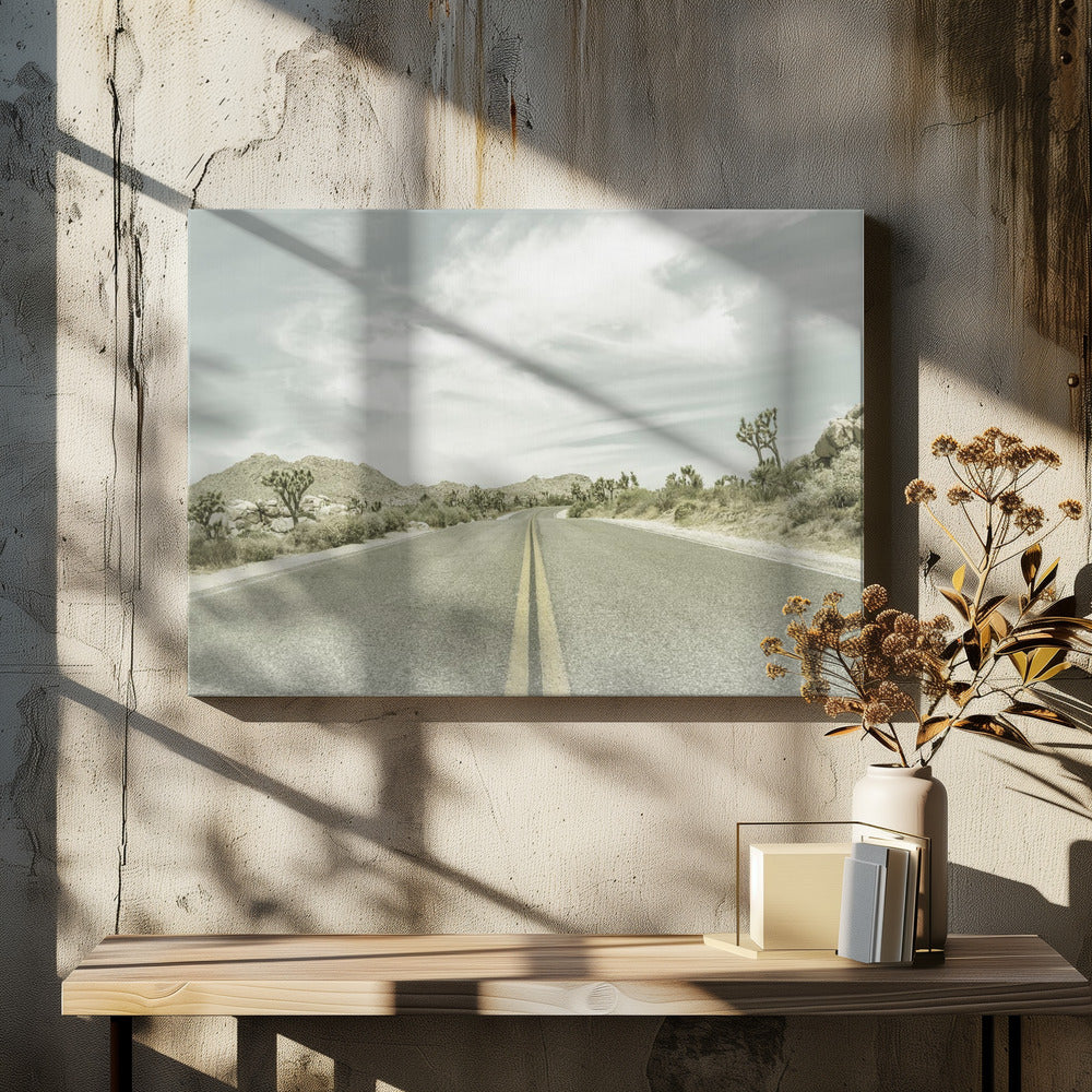 Vintage Joshua Trees, Park Boulevard | Canvas