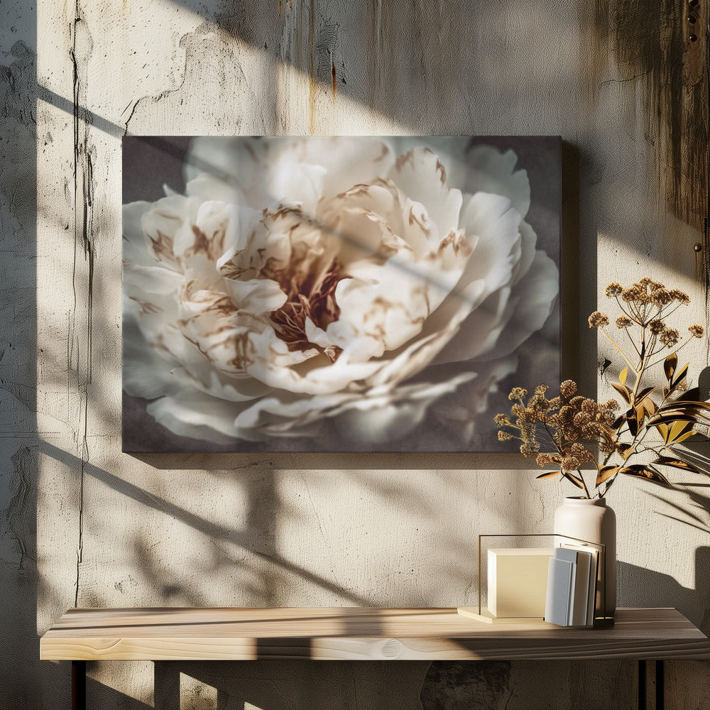 Bloemblaadjes van Sereniteit | Canvas