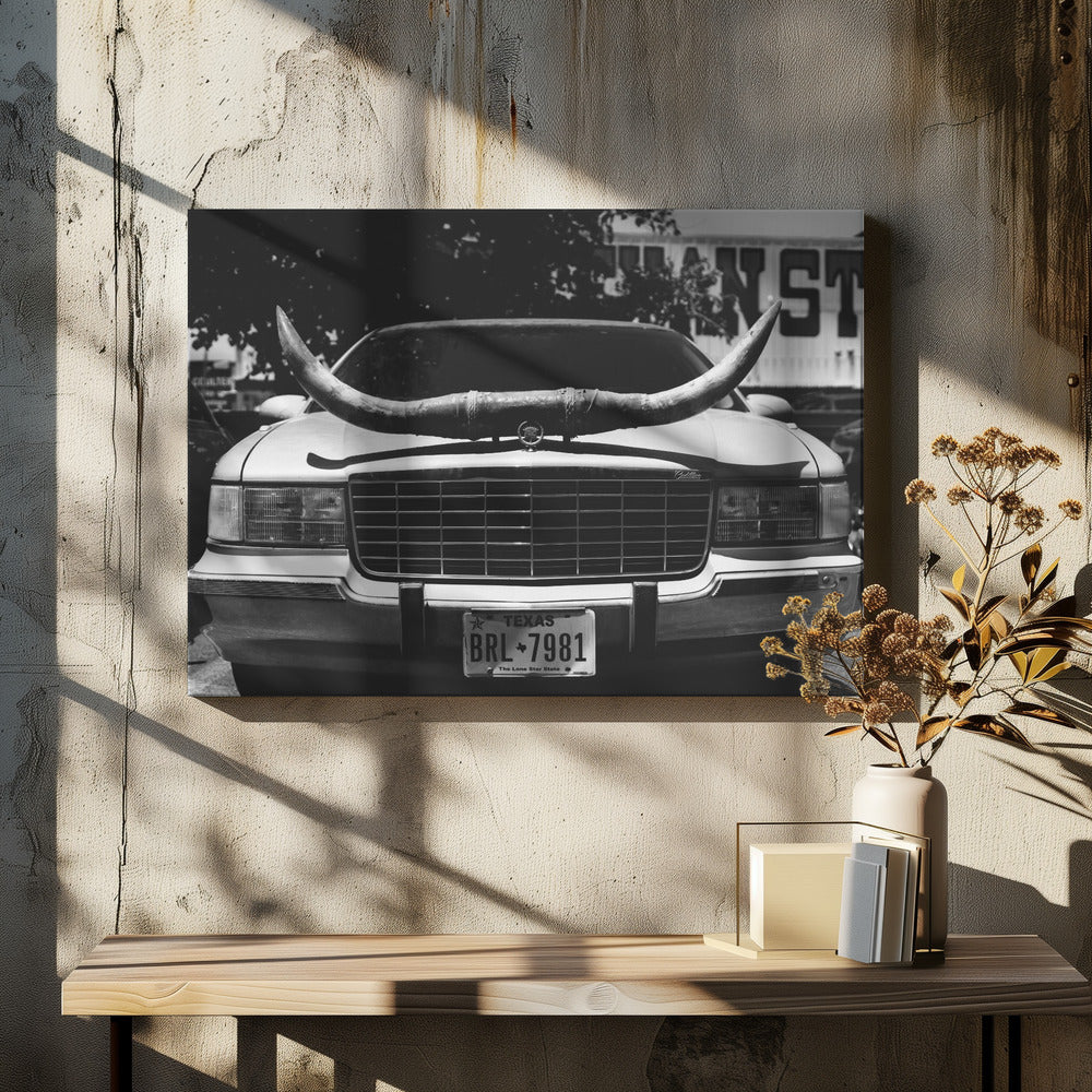 Texas Ride | Canvas