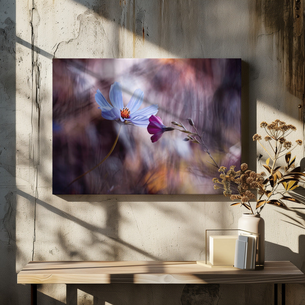 De ontmoeting | Canvas