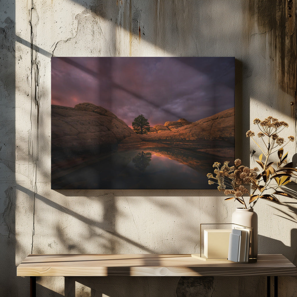 Ochtendlicht | Canvas