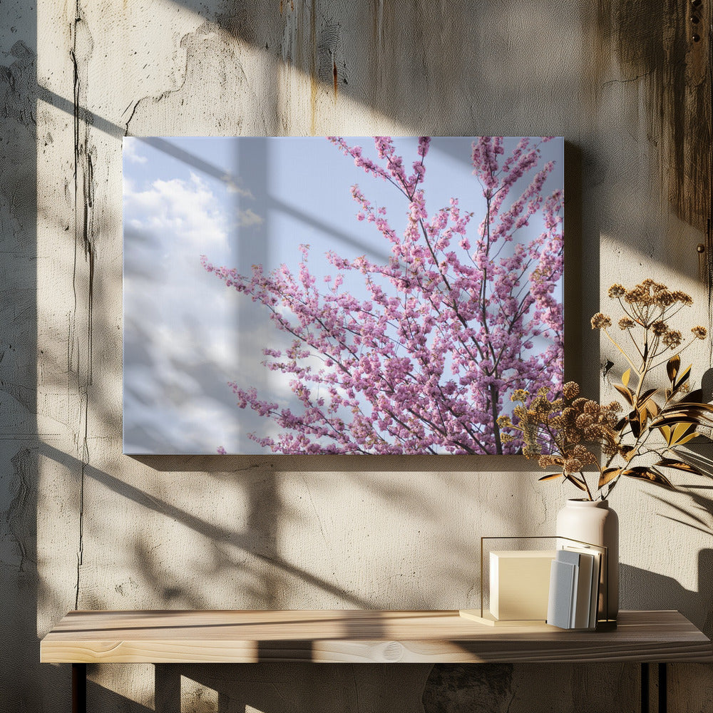 Kleurrijke Lente 12 | Canvas