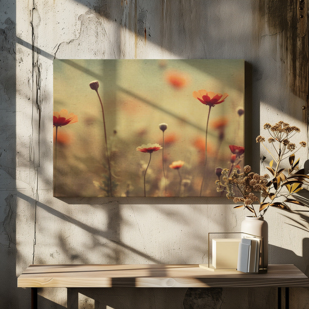 Fluisterende klaprozen | Canvas