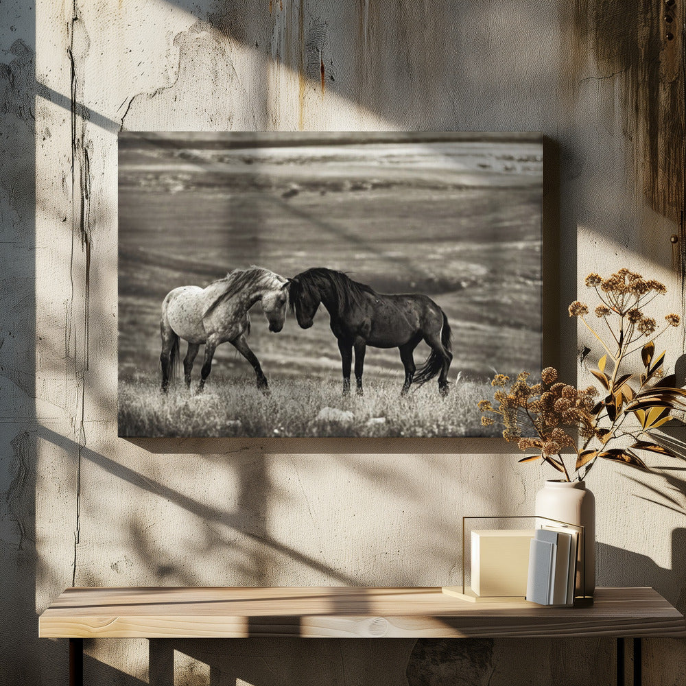 nauwe ontmoeting | Canvas