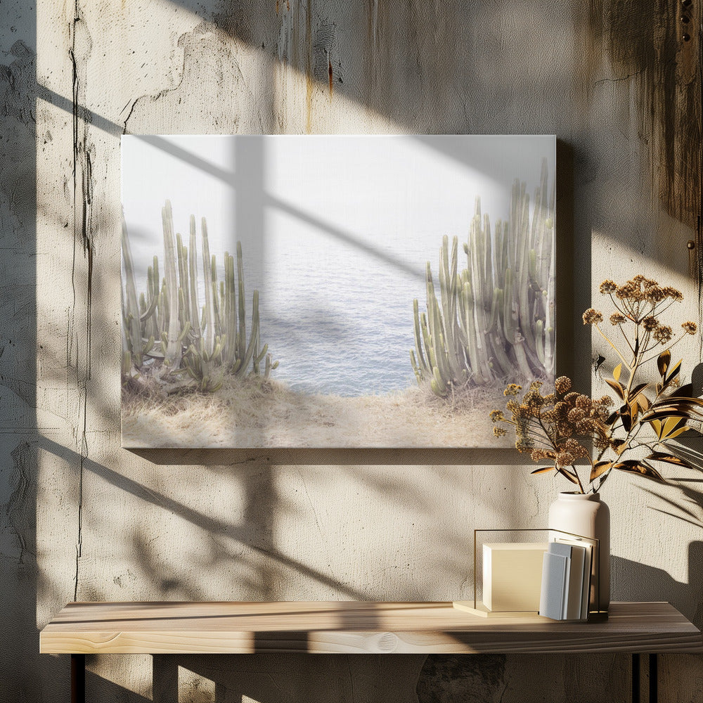 Oceaancactus | Canvas