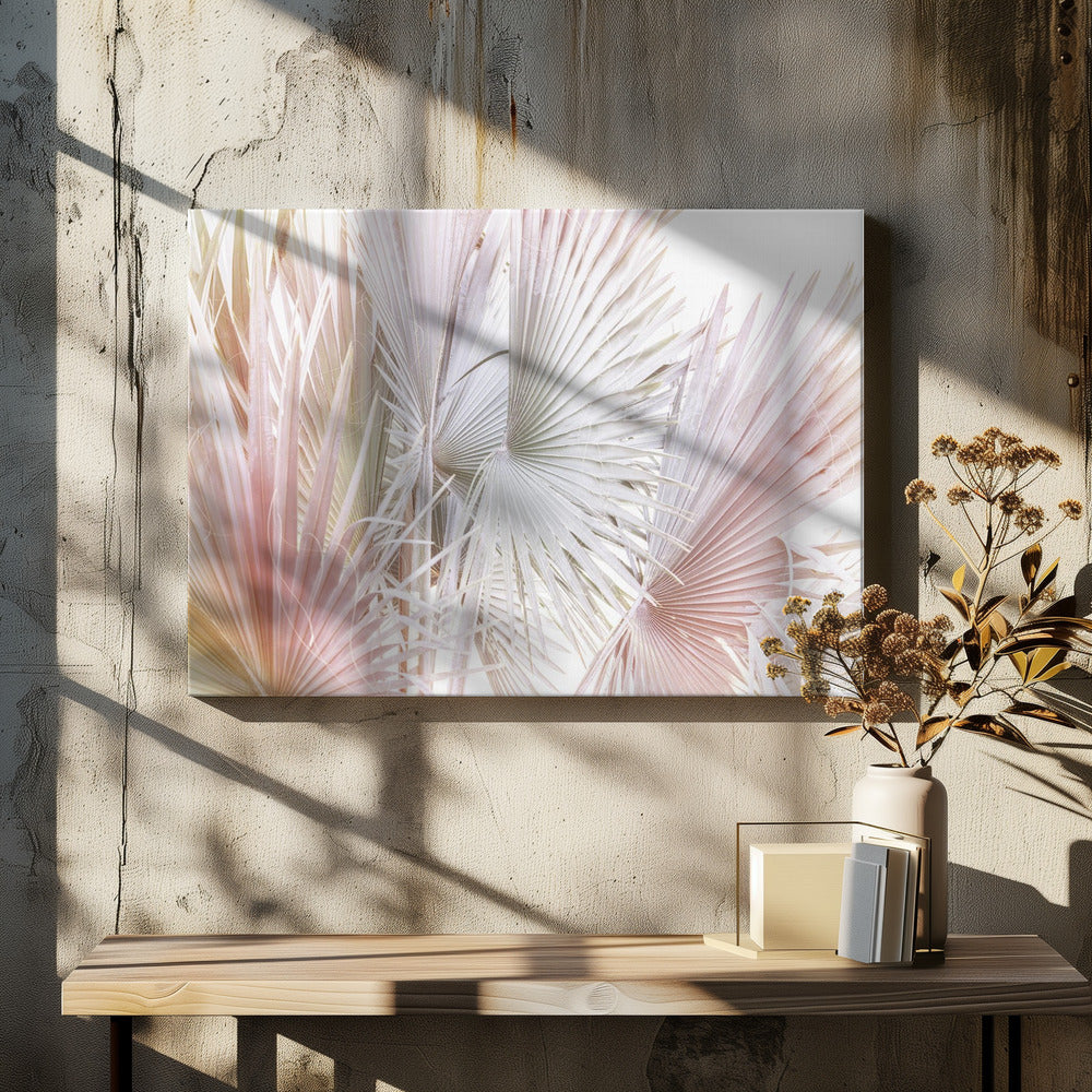 Palma | Canvas